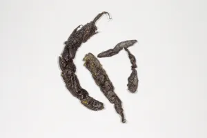 Dropping Prints: Stoat (Mustela erminea) droppings