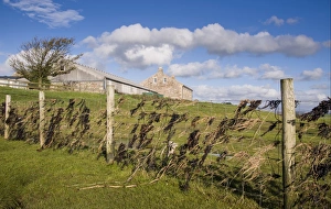 Fence Prints: Stock fence with seaweed indicating height of tide