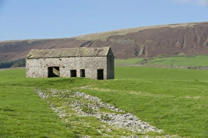 Moor Land Prints: Stone barn in pasture with distant fell, near Slaidburn, Lancashire, England, october