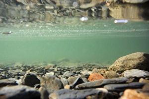 : Stones on lakebed reflected underneath surface