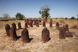 Stones marking burial site, Wassu Stone Circles, Gambia, january