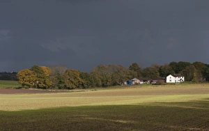 Housing Prints: Stormclouds over arable farmland and farmhouse, Marsham, Norfolk, England, November