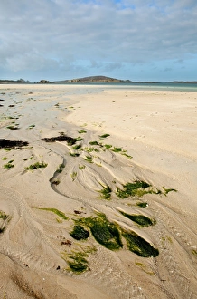 Distance Prints: Stream flowing across beach at low tide