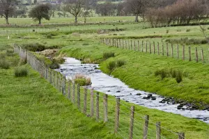Protects Prints: Stream flowing through pasture