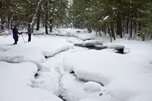 Eastern Seaboard Prints: Stream in woodland after heavy snow