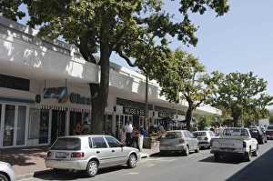 Street tree growing through building in town, Stellenbosch, Western Cape, South Africa