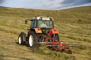 Tedders Prints: Styer 9078 tractor rowing up grass on hill farm to make big bale silage, England, july