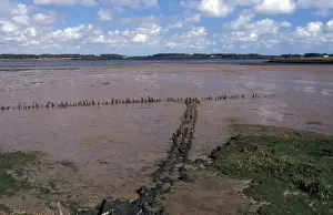 Suffolk The Alde Mudflats at Iken - Suffolk Wildlife Trust
