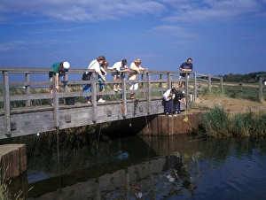Suffolk Crabbing at Walberswick, Suffolk