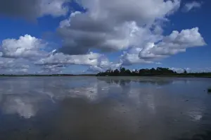 Images Dated 4th May 2012: Suffolk Iken Church and the Anchorage - Alde Mudflats - Suffolk Wildlife Trust
