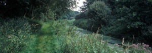 Suffolk River Waveney at Redgrave - Suffolk
