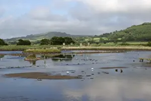 August Prints: Summer at the East Devon Axe Estuary Wetlands Nature Reserve