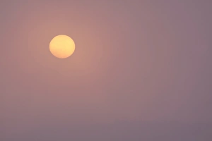 Site Prints: Sun rising through mist over lake, at site of former opencast mine at dawn, St