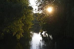 Sun Light Prints: Sun shining through trees overhanging river