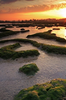 Shore Prints: Sunset over river estuary habitat at low tide
