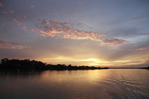 Gambia Prints: Sunset over river habitat, Gambia River, Gambia, january