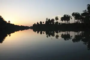Palm Prints: Sunset over river habitat, with palm trees silhouetted and reflected in water