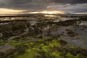 Distance Prints: Sunset over rocky shore at low tide