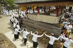 Tradition Prints: Sutri (old chosen women) holding hands in procession at Siat Sampian (coconut leaf war) festival