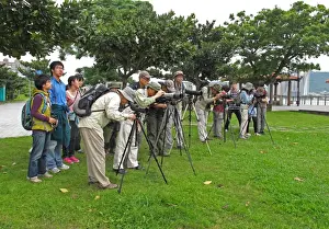 Woman Prints: Taiwanese birdwatchers scanning estuary with telescopes