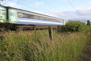 Passing Prints: Tall grass growing in wasteground habitat between edge of railway track with passing train and arable field