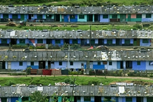 Estates Prints: Tea plantation workers housing on hillside, Munnar, Western Ghats, Kerala, India