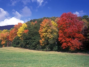 Southern States Prints: Tennessee Fall/Autumn colour at Cades Cove