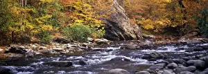 Southern States Prints: Tennessee Little River in Fall/Autum colour - Great Smoky Mountains National Park