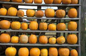 Southern States Prints: Tennessee Pumpkin harvest store - Great Smoky Mountains, Tennessee, USA