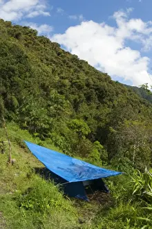 Camps Prints: Tent with shade, biologists camping in montane rainforest habitat, Andes, Peru