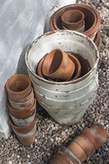Gardens Prints: Terracotta flowerpots in garden, Kirk House, Chipping, Preston, Lancashire, England, May
