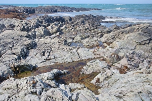 Pool Prints: Tidepool on rocky shore at low tide, La Pulec, Jersey, Channel Islands, May