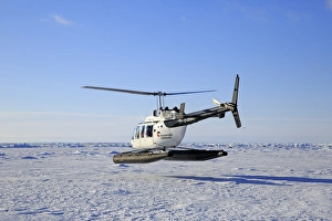 Helicopter Prints: Tourist helicopter in flight over pack ice
