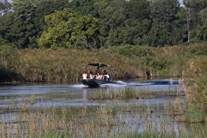 Speed Prints: Tourists explore the Monachena River by speed boat. Okavango Delta, Botswana