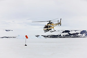 Helicopter Prints: Tourists in helicopter, landing on snow, Devil Island, Weddell Sea, Antarctica, December