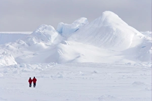 Visit Prints: Two tourists walking on ice of frozen sea, Antarctic Peninsula, Antarctica