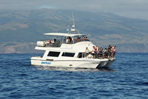 Holidays Prints: Tourists in whale and dolphin watching boat at sea, Azores, august