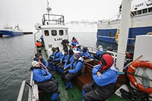 Woman Prints: Tourists on whalewatching boat in harbour