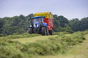 Cultivate Prints: Tractor with forage wagon picking up mowed grass