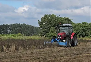 Spray Prints: Tractor mowing sprayed thistles after spraying with Roundup herbicide on Higher Level Stewardship land