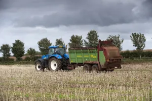 Spreading Prints: Tractor with muckspeader, spreading chicken manure on oilseed rape stubble field