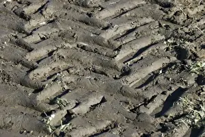 Track Prints: Tractor tyre tracks in muddy field, Sweden, september