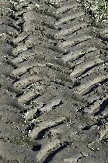 Tractor tyre tracks in muddy field, Sweden, september
