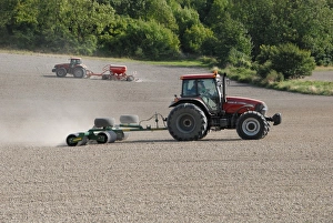 Drill Prints: Tractors drilling and rolling wheat crop on chalky land