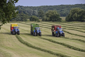 Cultivate Prints: Three tractors with forage wagons picking up mowed grass