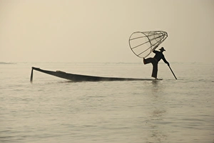 Canoe Prints: Traditional fisherman with fish trap in boat, Inle Lake, Shan State, Myanmar, January