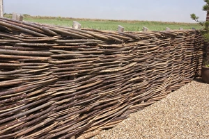 Fence Prints: Traditional wattle willow-weave fence, Norfolk, England, July
