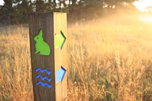 Directions Prints: Trail marker in breckland heathland at dawn