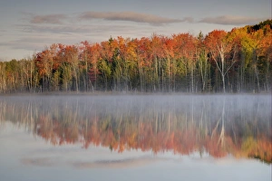 Michigan Prints: Trees in autumn colours reflected in lake