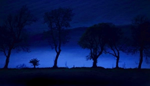 Mists Prints: Trees silhouetted in rising mist at dusk, Northumberland, England, May